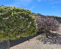 Sale - Finca / Country house - Benissa - Alicante, Benissa