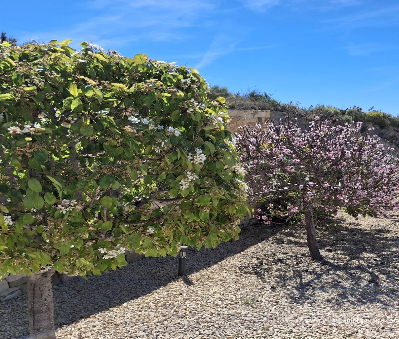 Sale - Finca / Country house - Benissa - Alicante, Benissa